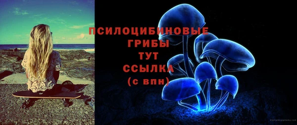 ПСИЛОЦИБИНОВЫЕ ГРИБЫ Алексин