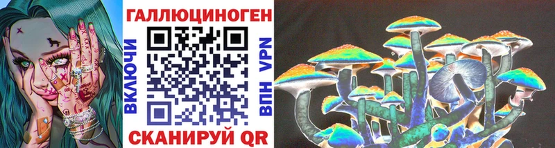 ОМГ ОМГ tor  Тавда  Псилоцибиновые грибы GOLDEN TEACHER 